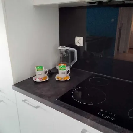 Rest In Paradise-basen Wewnetrzny,sauna,jacuzzi,silownia I Kulkoland W Cenie Sun Rise Festival Ul Poleska Apartment