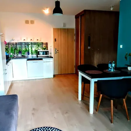 Rest In Paradise-basen Wewnetrzny,sauna,jacuzzi,silownia I Kulkoland W Cenie Sun Rise Festival Ul Poleska