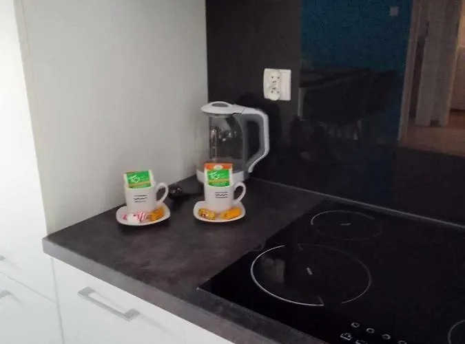 Rest In Paradise-basen Wewnetrzny,sauna,jacuzzi,silownia I Kulkoland W Cenie Sun Rise Festival Ul Poleska Daire